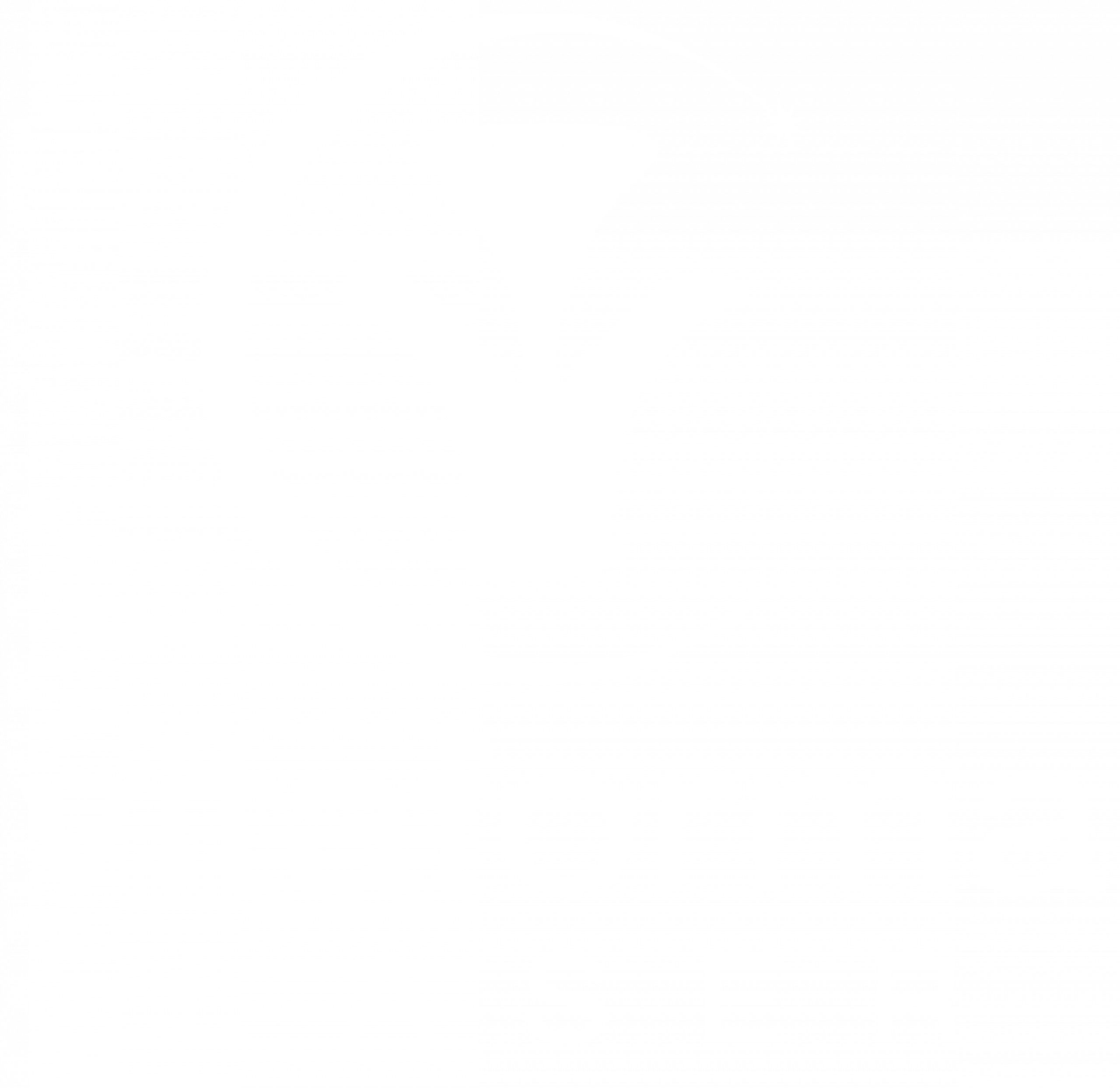 Vitaforma Laser Logo